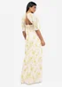 Anaya With Love Multi Coloured Floral Keyhole Back Maxi Dress - 12 Image 3