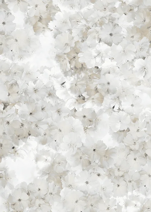 Muriva Apple Blossom Natural Wallpaper - One Size Image 1