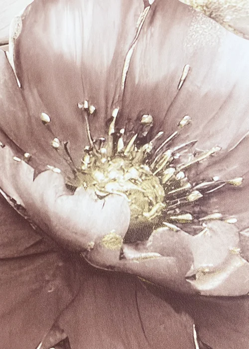 Muriva Aminah Floral Blush Wallpaper - One Size Image 3