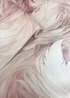 Muriva Plumes Blush Wallpaper - One Size Image 4