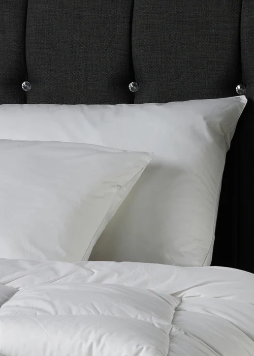 Downland Feels Like Down Pillow Image 3