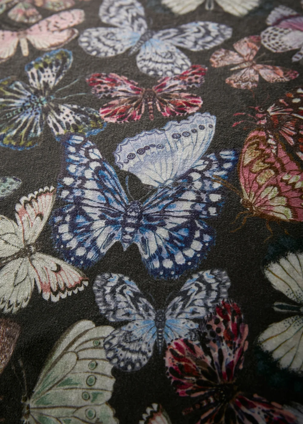 Soiree Papillon Velvet Charcoal Duvet Cover Set - Double Image 3