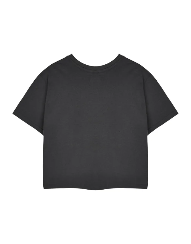 Vanilla Underground Nirvana Adults Rainbow Logo Grey Cropped T-Shirt