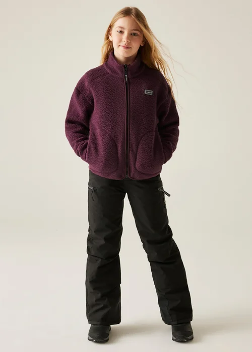 Dare2B Aubergine Kids' Zesty II Stretch Fleece (3-16yrs) - Age 11-12 Years Image 3