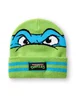 Teenage Mutant Ninja Turtles Boys Green Beanie & Gloves Set (One Size) - One Size Image 3