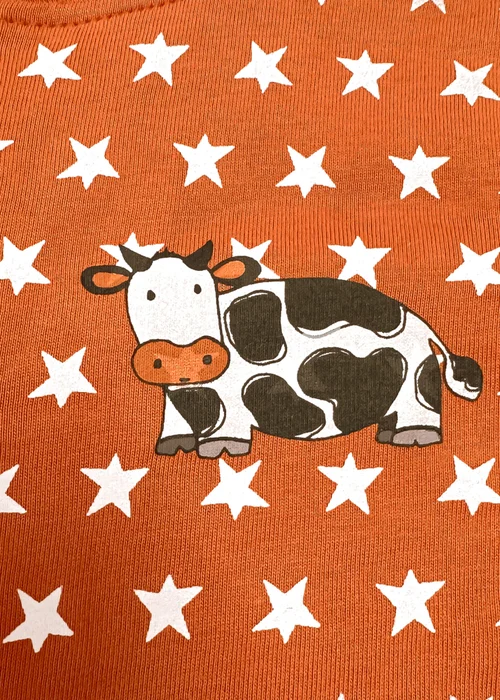 Lucy & Sam Orange Pumpkin Star Button Babygrow (0 to 24 Months) - 9 - 12 Months Image 4