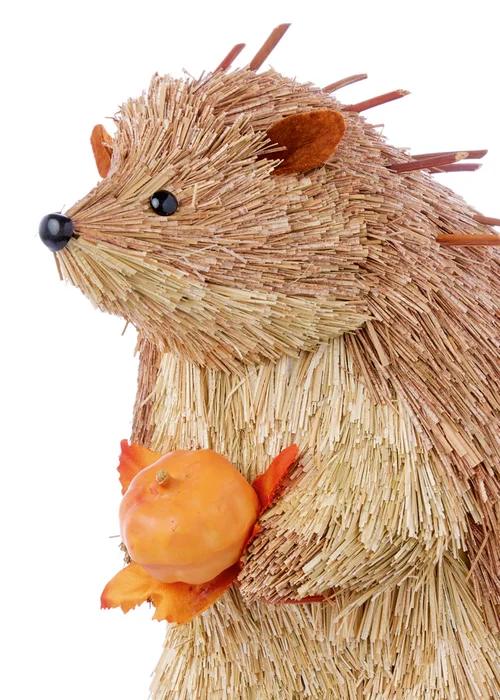Premier Decorations Spikey Hedgehog with Pumpkin Ornament - One Size Image 2