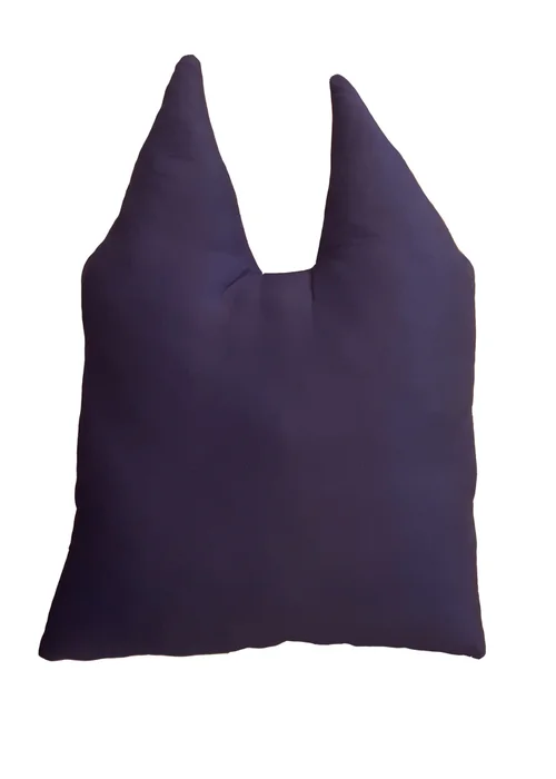 Bluey Shaped Cushion - One Size Image 3