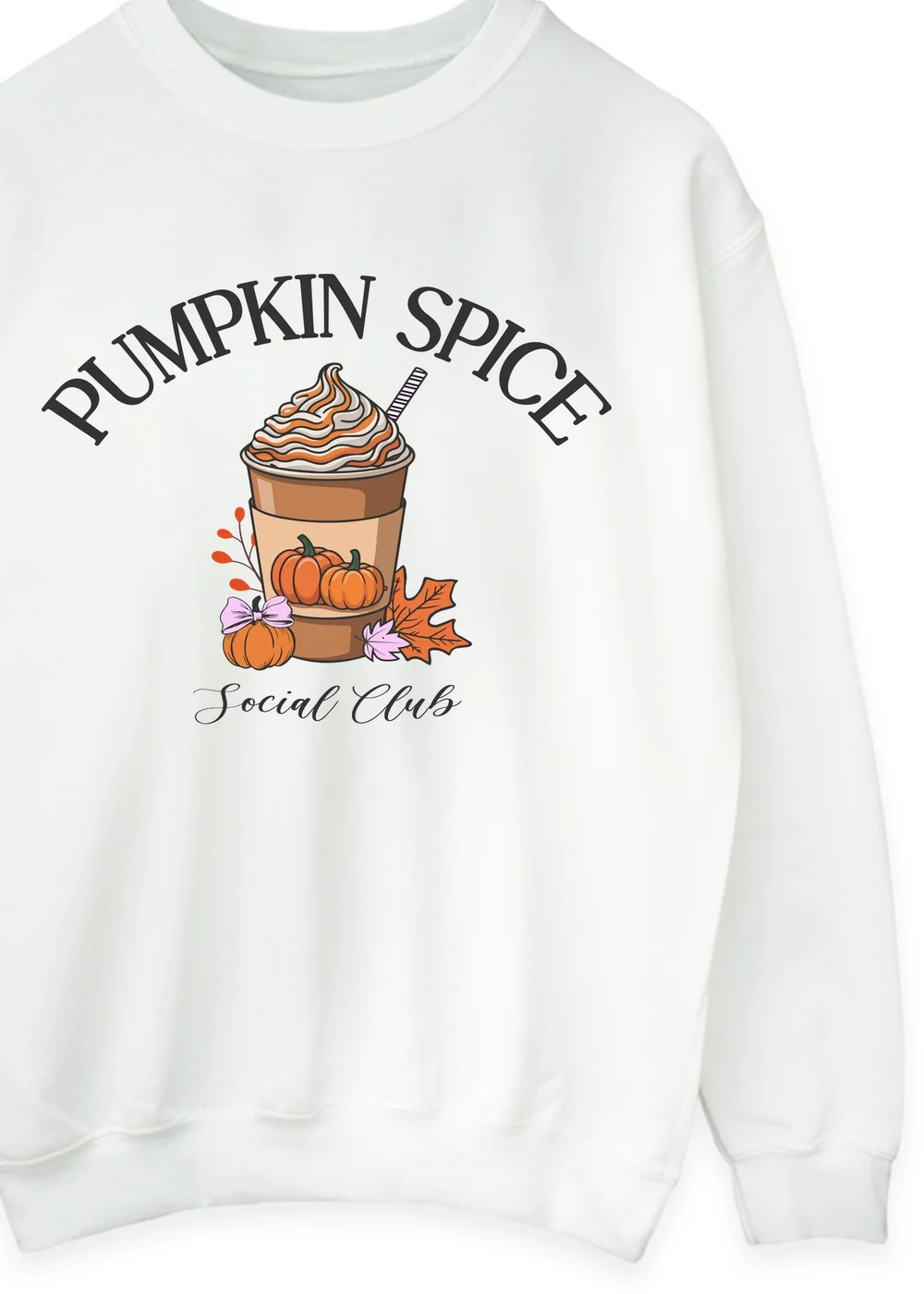 Spiral Galaxy Pumpkin Spice Social Club White Graphic Sweatshirt - 3XL Image 2