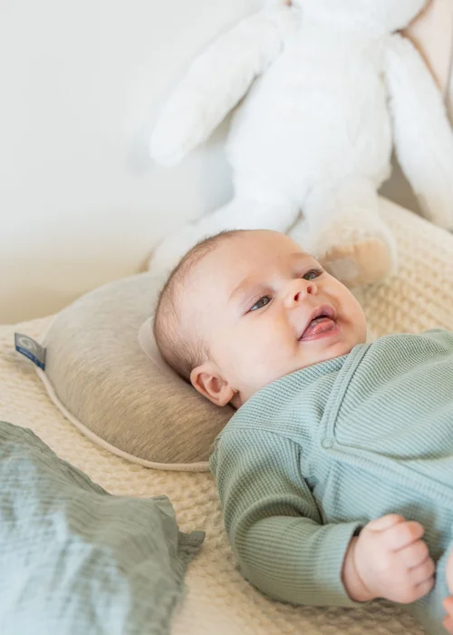 Babymoov Fresh Smokey Cosyhead Baby Support Pillow - One Size Image 1