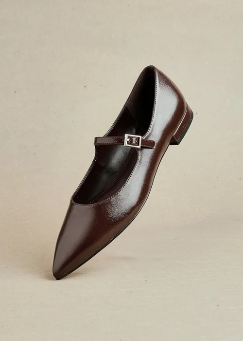 Linzi Seattle Brown Faux Leather Pointed Toe Mary Jane Flats - Size 5 Image 6