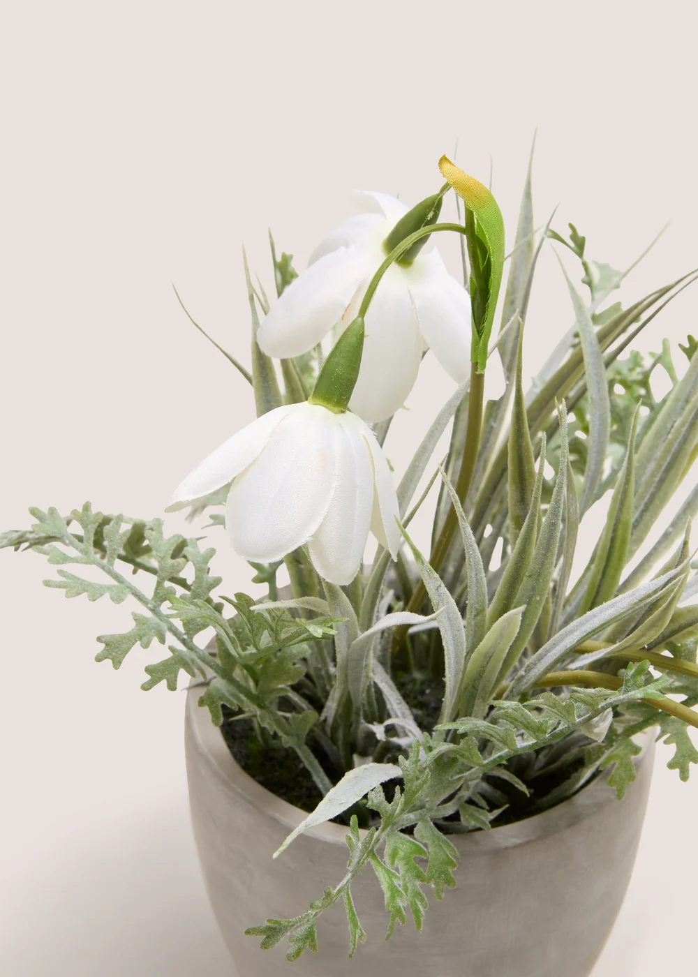 White Flower In Cement Pot Image 2