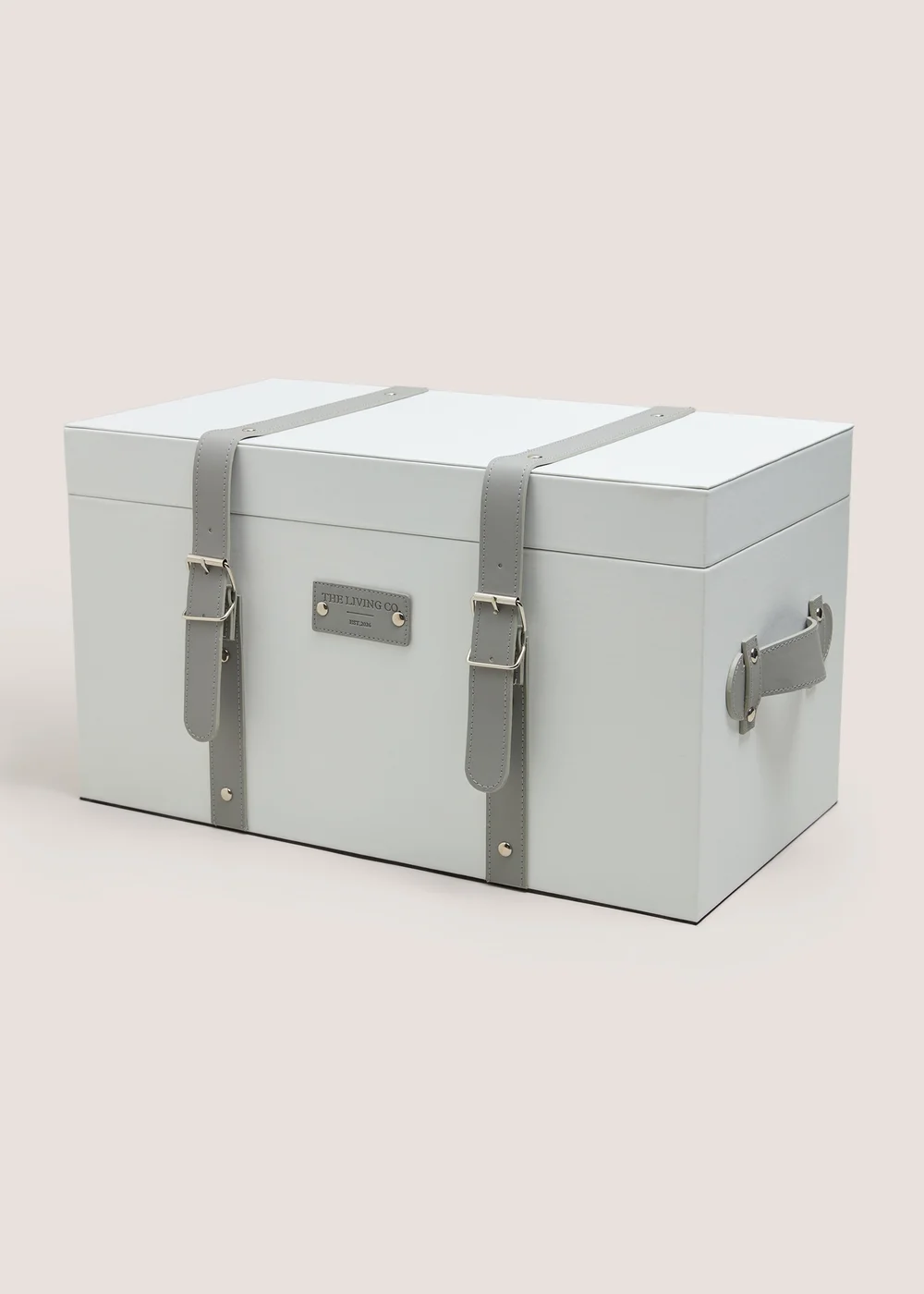 White Living Co Leather Trunk Image 1