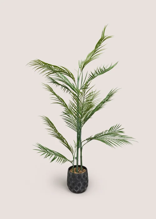 Fern Tree With Pot Image 1