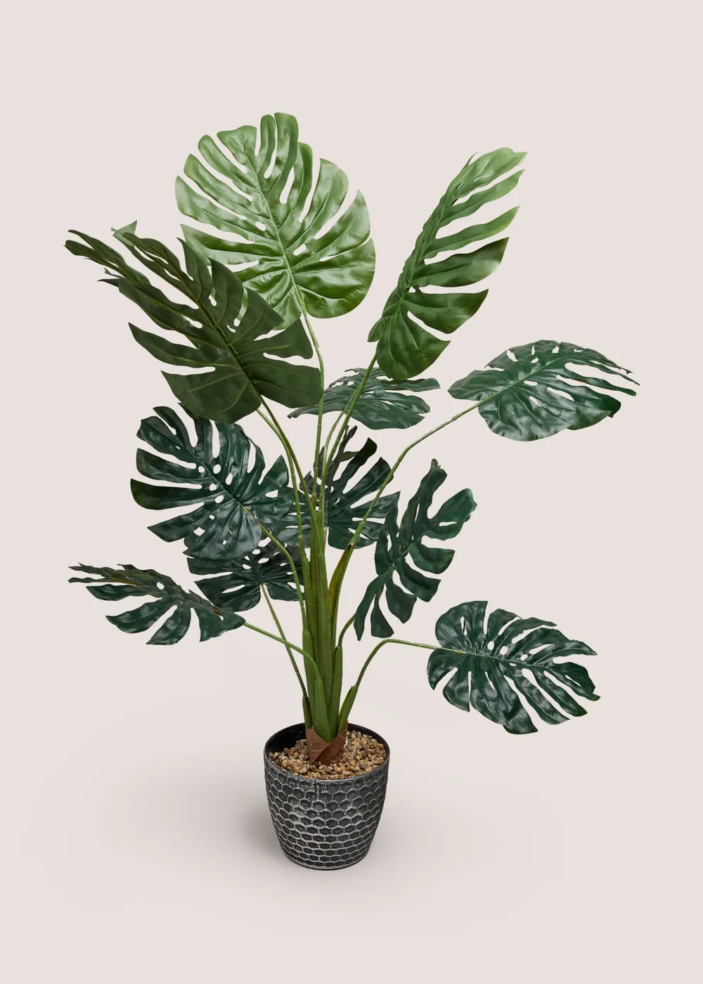 Monstera Plant With Pot Image 1