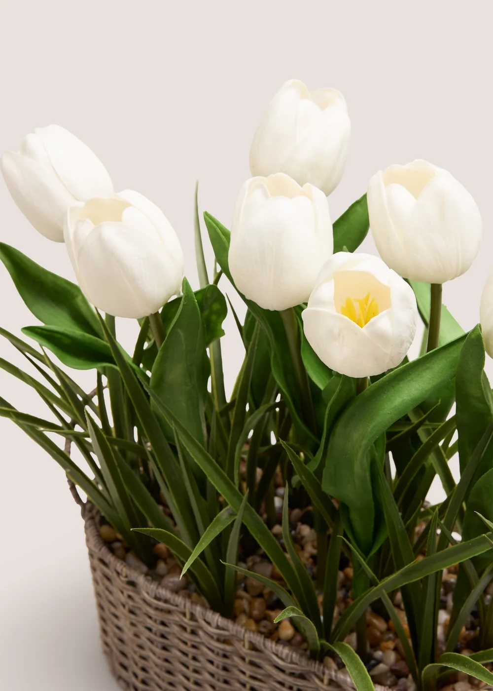 White Tulip In Woven Pot Image 2