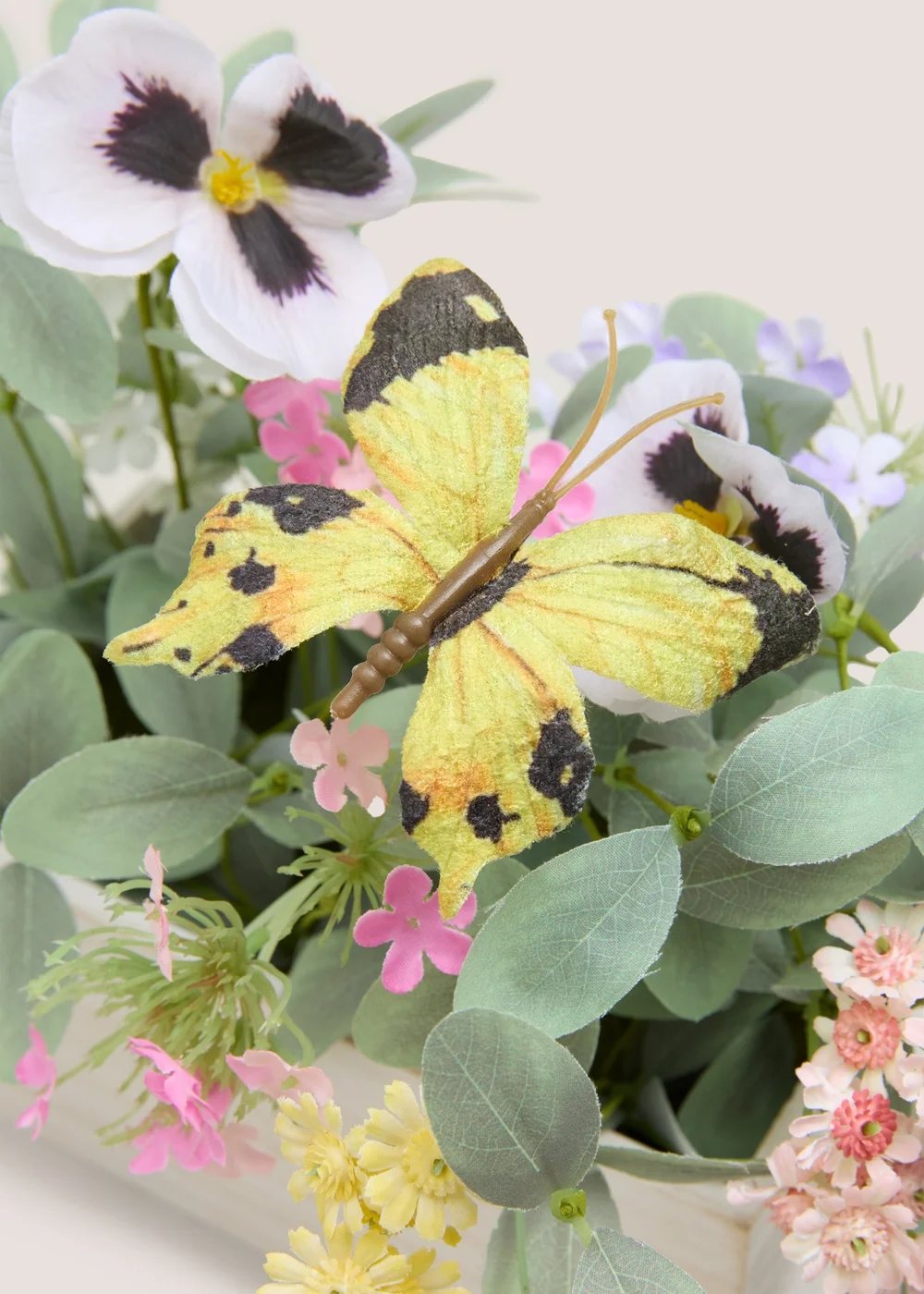 Butterfly Flower In Plant Box Image 2