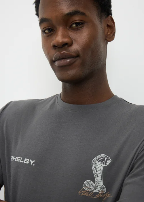 Grey Shelby Printed T-Shirt - Large Image 3