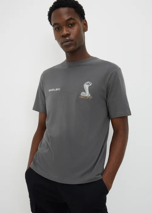 Grey Shelby Printed T-Shirt - Large Image 2