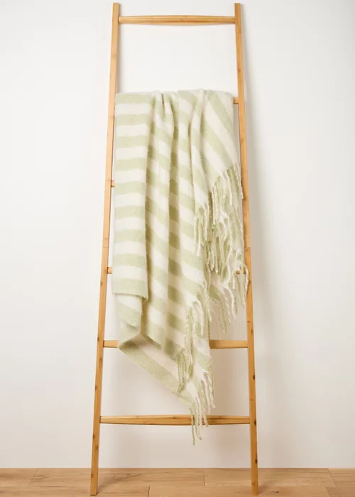 Green Stripe Mohair Throw Image 1