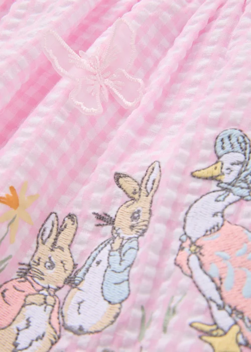 Girls Pink Peter Rabbit Gingham Dress (Newborn-23mths) - Up to 1 Month Image 2
