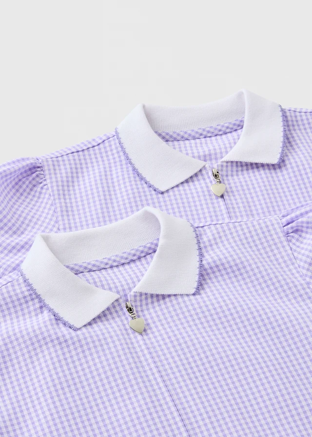 2 Pack Girls Lilac Gingham Knit Collar Plus Fit School Dresses (4-13yrs)
