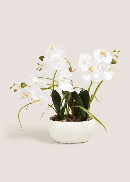 White Planted Orchid Image 1