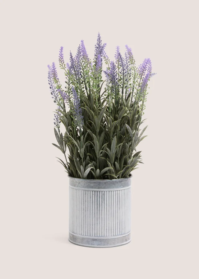 Lavender In Metal Pot