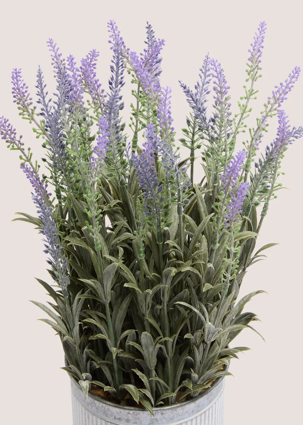Lavender In Metal Pot Image 2