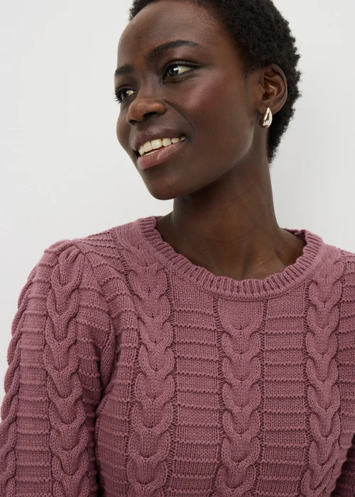 Papaya Petite Raspberry Pretty Cable Short Sleeve Jumper - Extra small Image 3