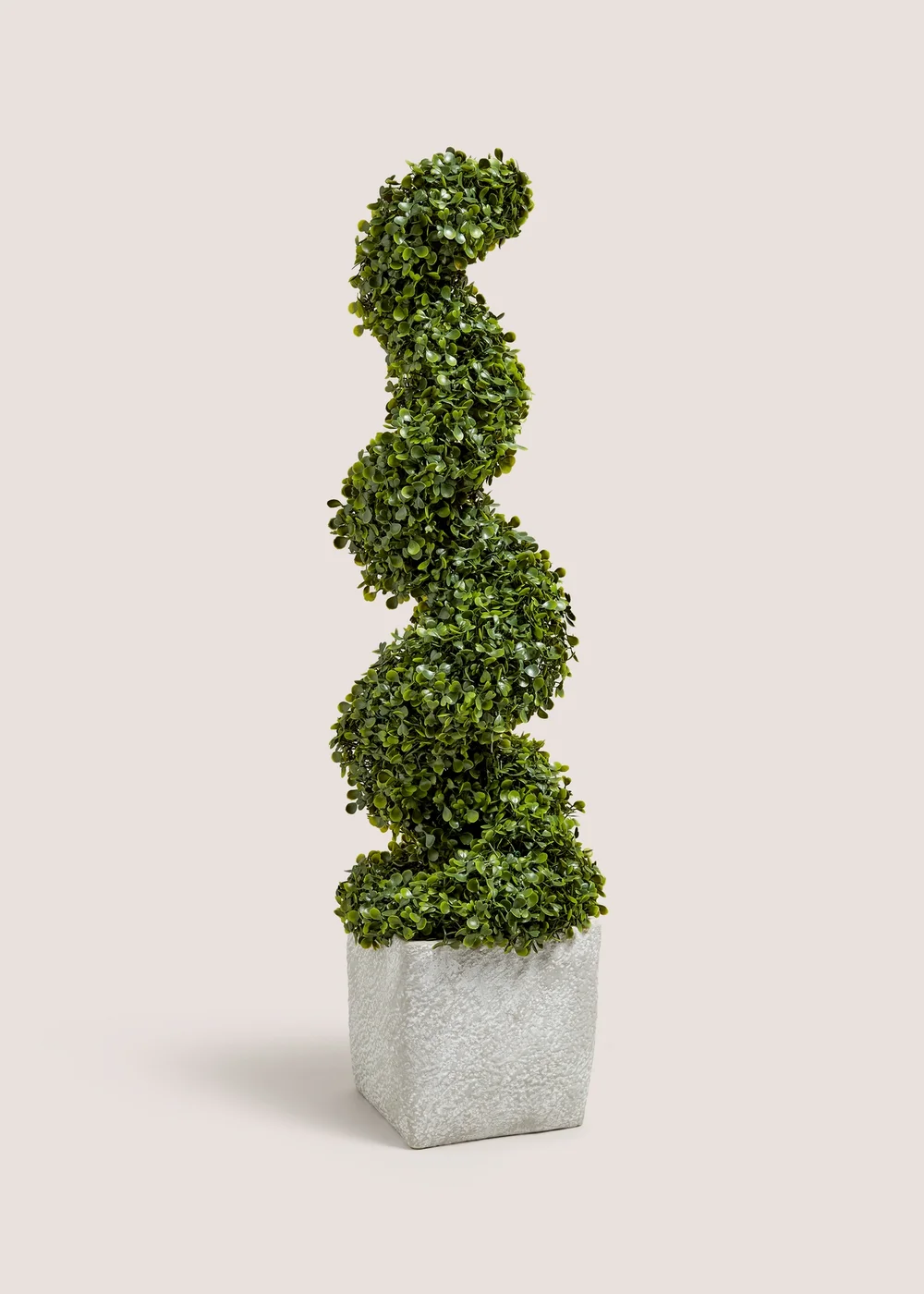 Spiral Topiary Image 1