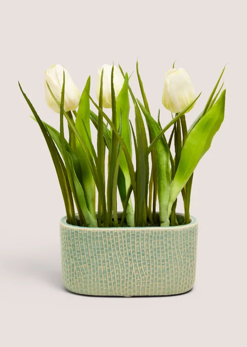 Green Tulip In Narrow Pot Image 1