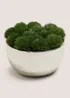 Chrome Moss Bowl Image 1