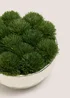 Chrome Moss Bowl Image 2