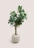Large Eucalyptus In Cream Ribbed Pot Image 1