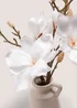 White Magnolia In Jug Image 2