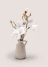 White Magnolia In Jug Image 1