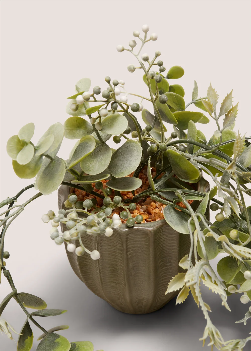 Trailing Plant In Green Ribbed Pot Image 2