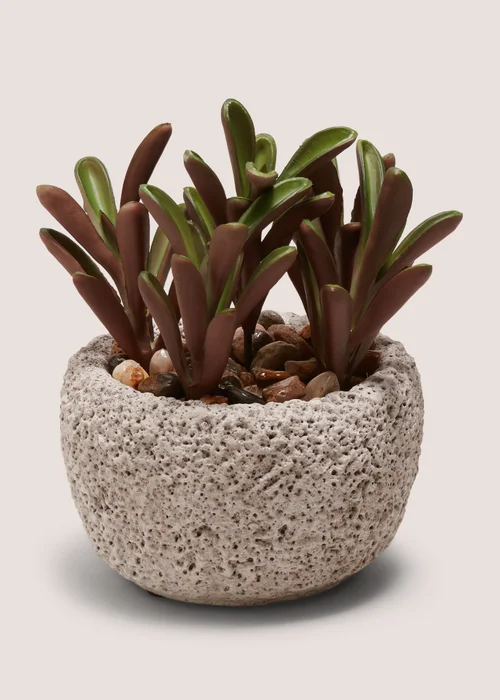 Succulent Rock Pot Image 1