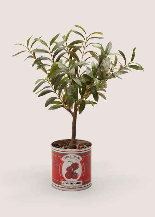 Sorrento Olive Tree In Tin Image 1