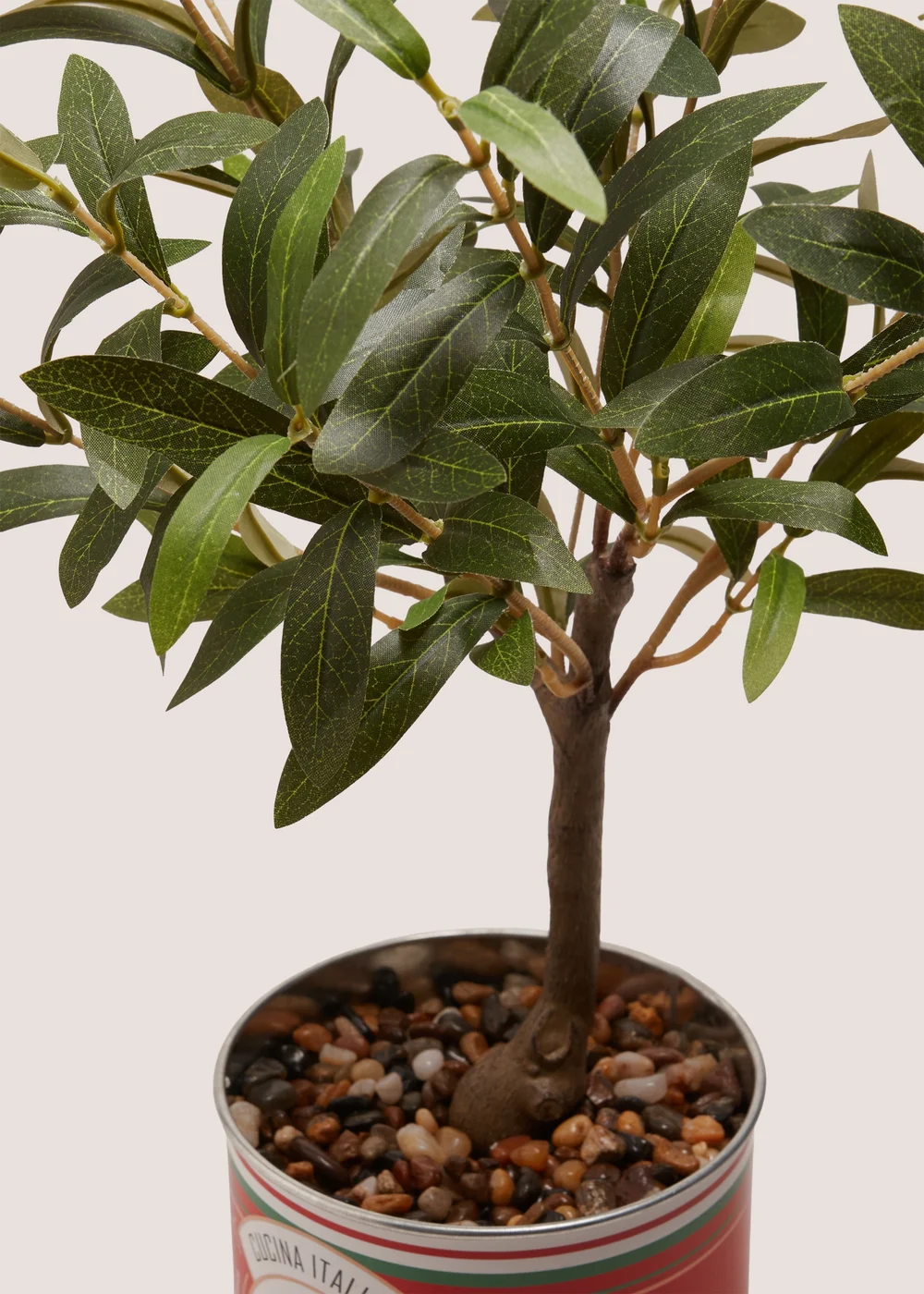 Sorrento Olive Tree In Tin Image 2