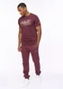 Crosshatch Burgundy Mappedout T-Shirt - Small Image 2