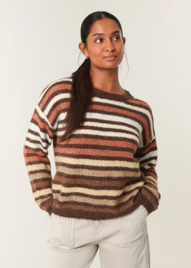 Blue Vanilla Brown Colourful Jumper With Stripes