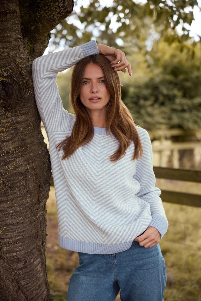M&Co Blue Chevron Knitted Jumper