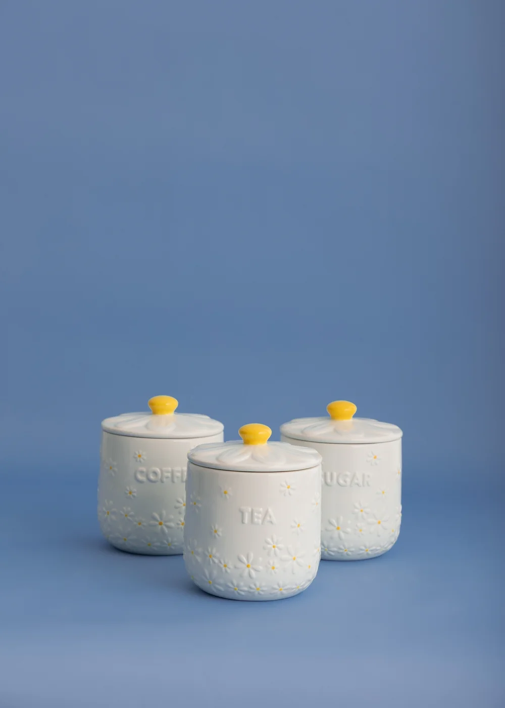 Price & Kensington Daisy Tea, Coffee & Sugar Storage Jars Set of 3 - One Size Image 2