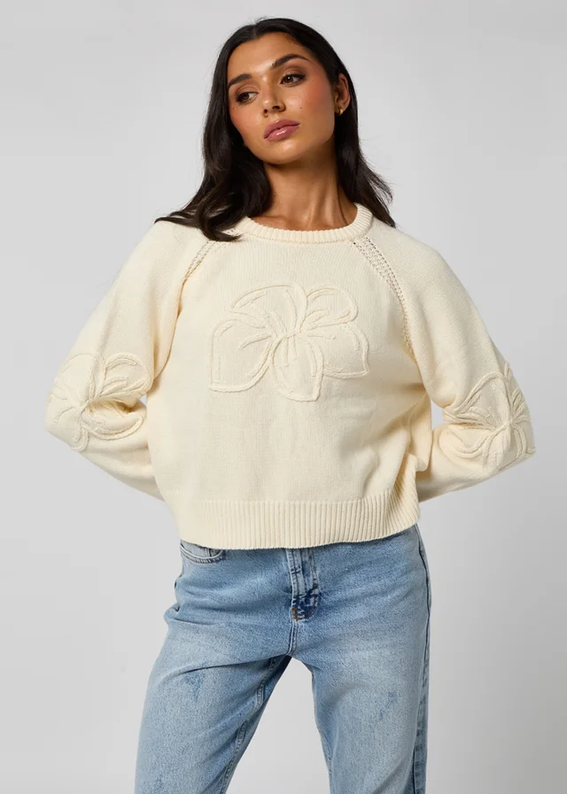 Urban Bliss Crochet Embroidery Raglan Jumper