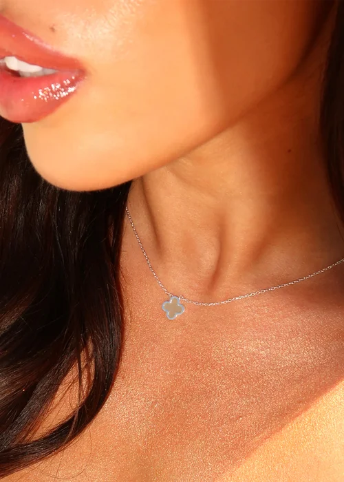 Say It With Silver Jade Crystal Clover Gift Set - One Size Image 2