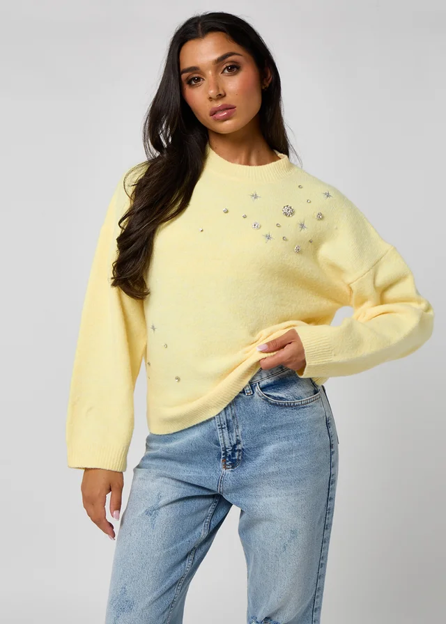 Urban Bliss Embellished Embroidery Jumper