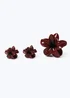 3 Pack Muse Burgundy Flower Clips - One Size Image 2