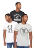 Henleys Assorted Upton T-Shirt 3 pack - Large Image 1